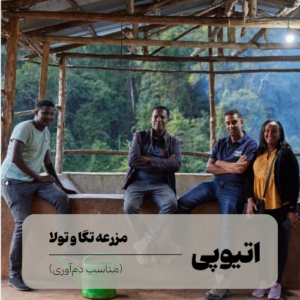 قهوه تخصصی اتیوپی تگا و تولا
